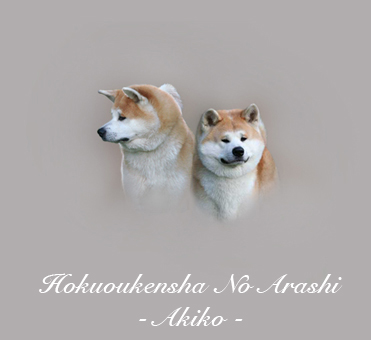 Akiko picture