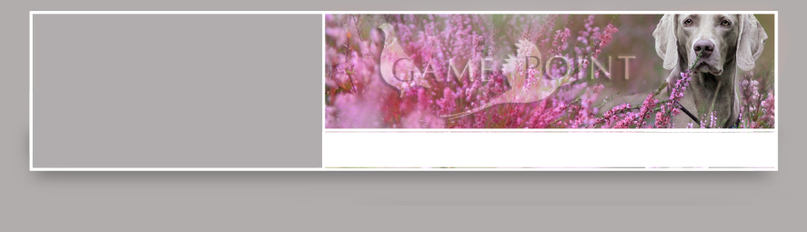 Header
