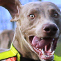 Pictures of Otti